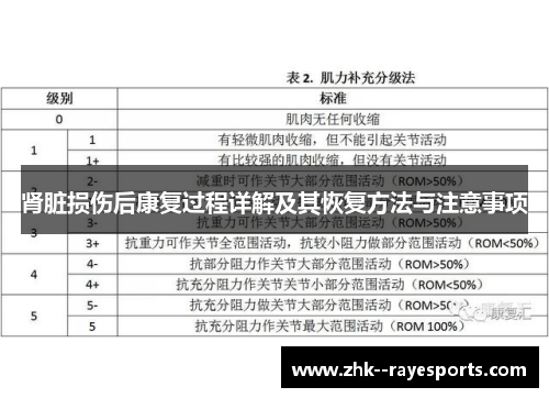 肾脏损伤后康复过程详解及其恢复方法与注意事项